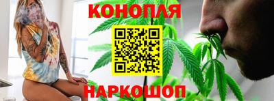 гидропоника Пенза