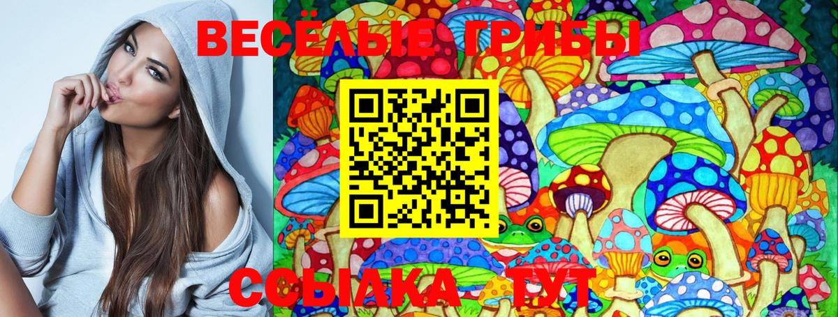 Псилоцибиновые грибы GOLDEN TEACHER  Вход с VPN  Сокол  Галлюциногенные грибы Cubensis 