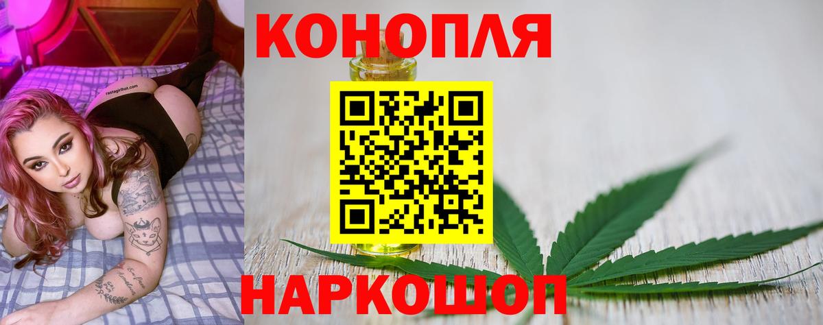 Конопля Ganja  Вход с VPN  Бошки марихуана тримм  Сокол  Шишки марихуана конопля 